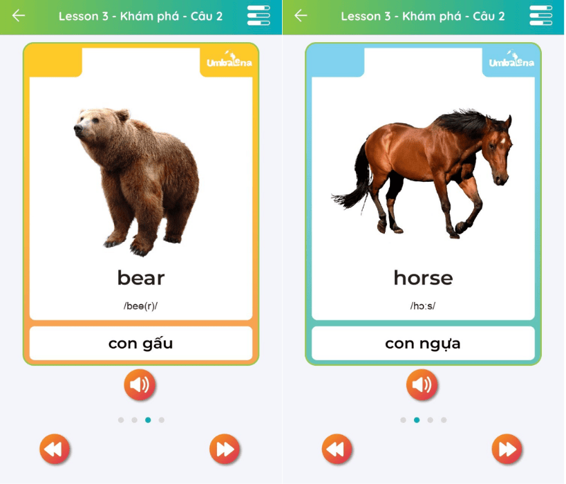 be-hoc-tieng-anh-cac-con-vat-tu-vung-theo-chu-de-2