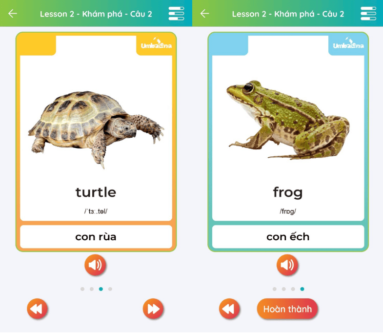 huong-dan-hoc-flashcard-tu-vung-nghe-nghiep-tieng-anh-hieu-qua-1