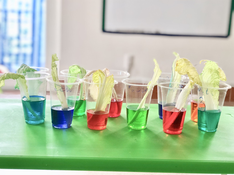 lam-do-choi-stem-cho-tre-mam-non-voi-8-thi-nghiem-don-gian-7