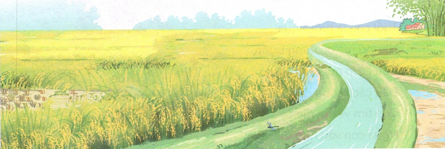 tieng-viet-lop-5-tap-1-trang-18-kntt-4