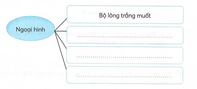 vo-bai-tap-tieng-viet-lop-5-tap-1-trang-107-kntt-4
