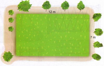 toan-lop-5-trang-26-tap-1-kntt-11