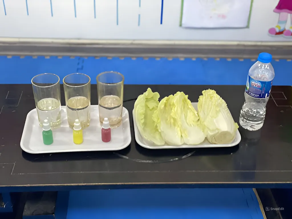 tong-hop-cac-thi-nghiem-stem-vui-nhon-de-lam-cho-tre-mam-non-5