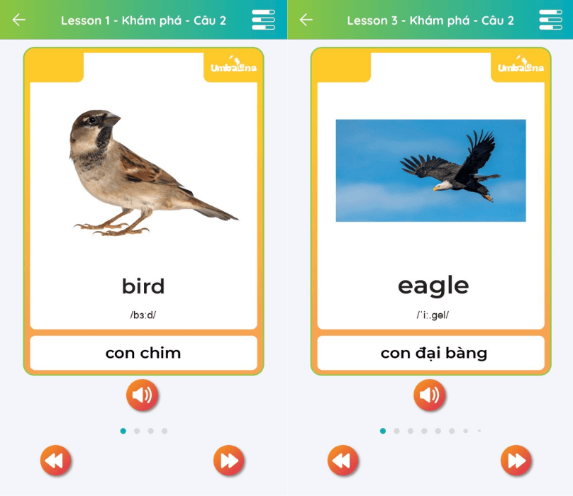 be-hoc-tieng-anh-cac-con-vat-tu-vung-theo-chu-de-4