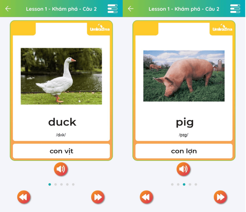 be-hoc-tieng-anh-cac-con-vat-tu-vung-theo-chu-de-7