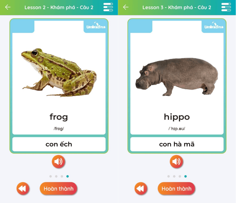 be-hoc-tieng-anh-cac-con-vat-tu-vung-theo-chu-de-6